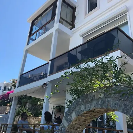 Dream House بودروم