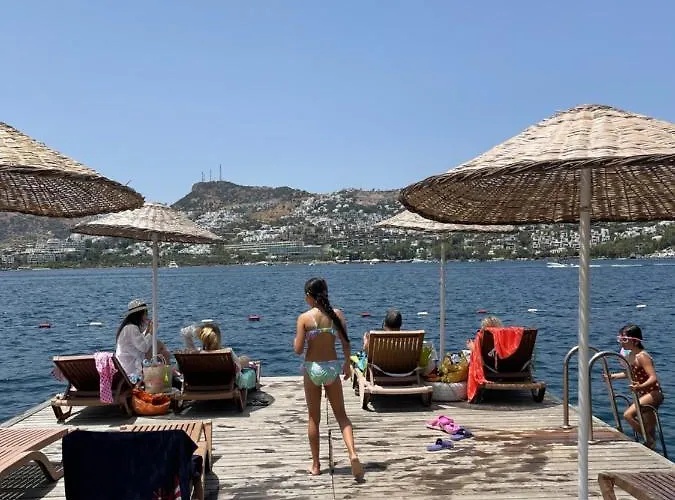 Dream House Apartment